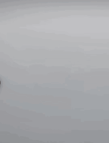 duck-ducks.gif