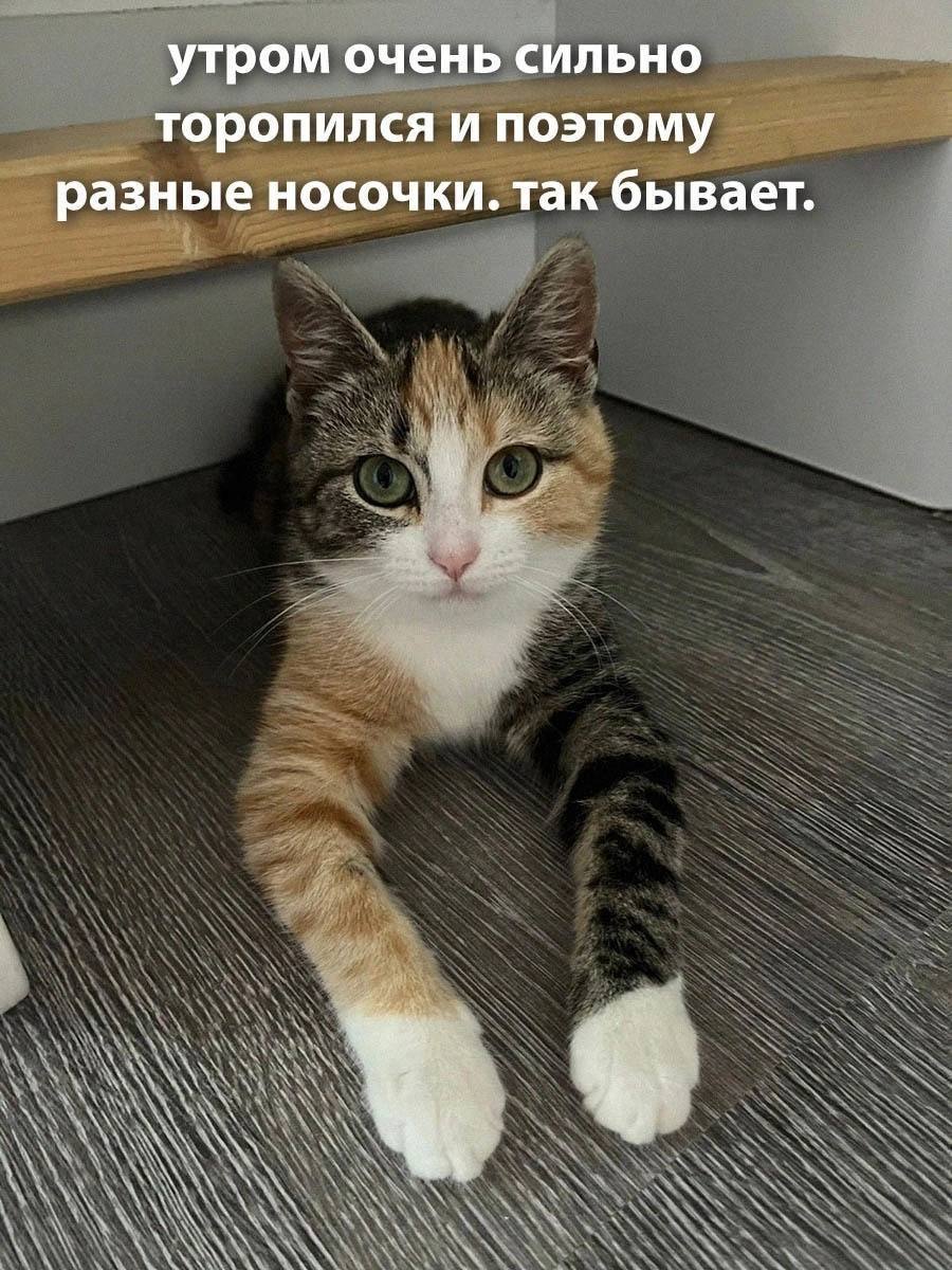 E014F129-42AA-4479-B426-5454461578BC.jpeg