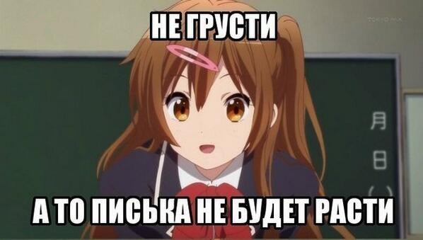 e0e9646daf328fa6b7f759b49e3d530a.jpg