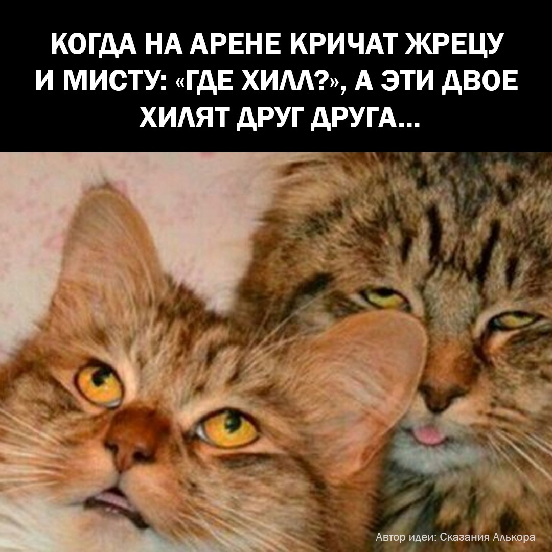 E2tYgwaJ5l695csknezJ3VGxIkrVB_moyPb8SKauarsFR3Jo5MVXZTyYkGmZzca-SbkFbZYMDELQ6UPu8lSTKBeM.jpg