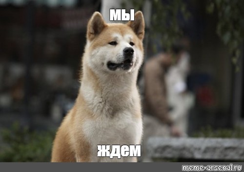 E884D12B-93E3-4537-AA28-38BB962C2797.jpeg