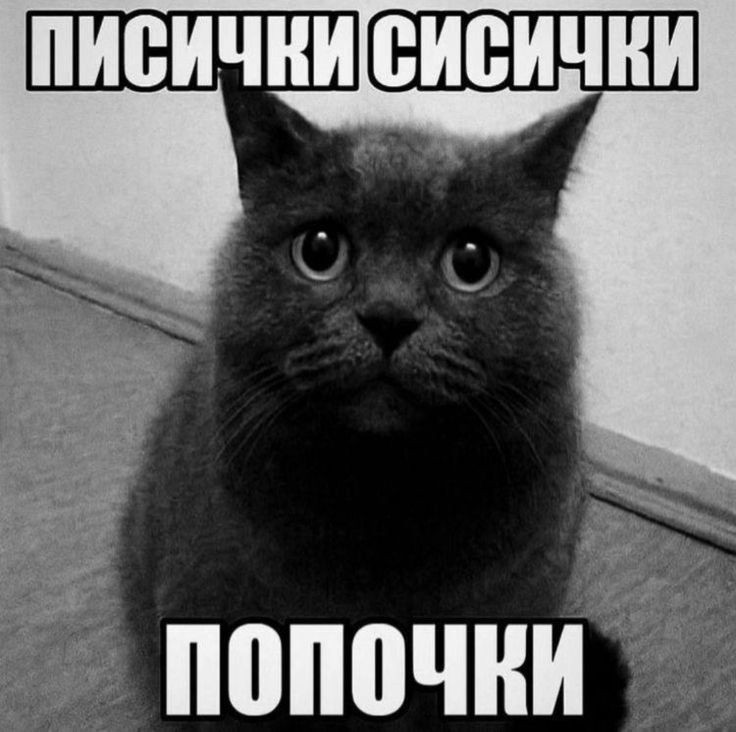 ebb1dd06e991d9ec3474cbbdec7813d6.jpg