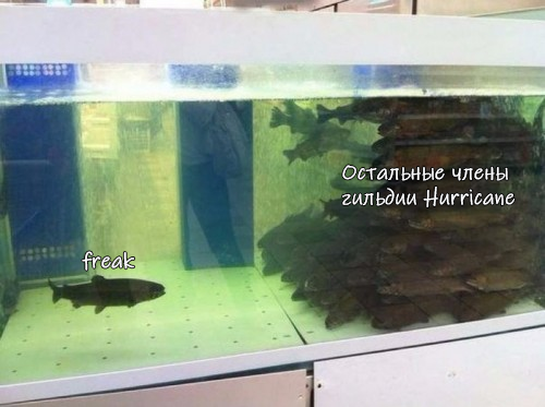 [ehhbrb.png