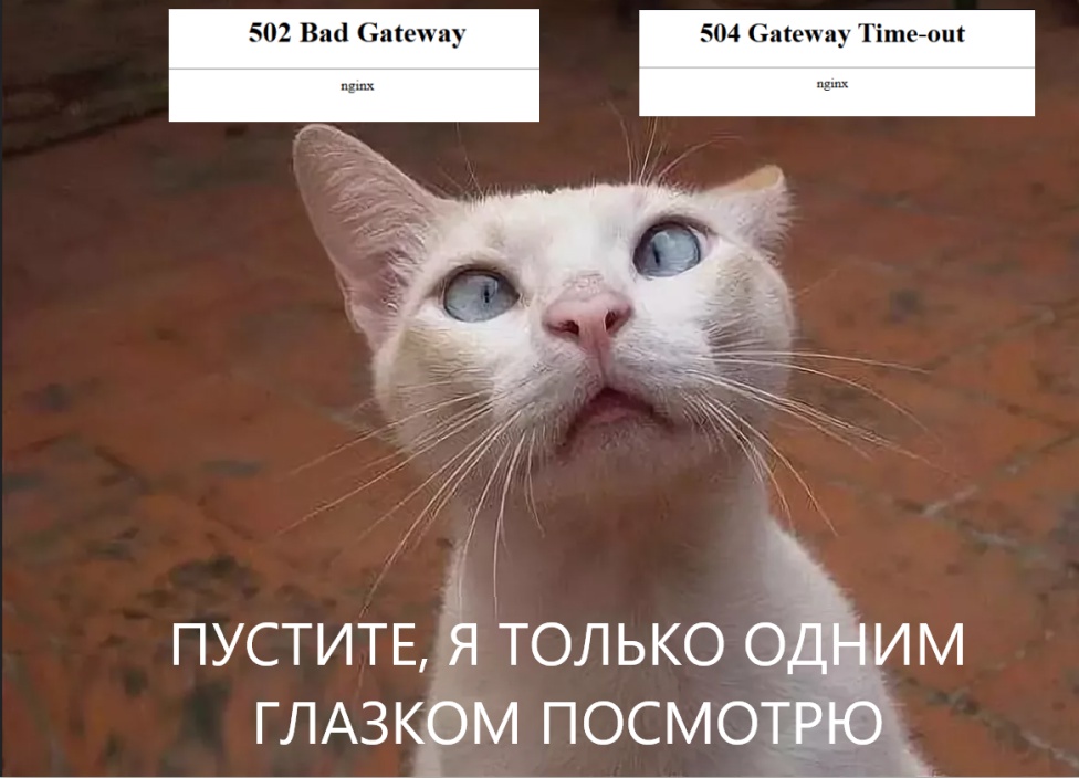 eMkRSotxN0wdgw77HUzis-eF-6xUhPDvPIaTKJI5EhraITWWAydlC0sJx65lCNI5hVDFRfPVPJVjhgFDq5g5bgaQ.jpg