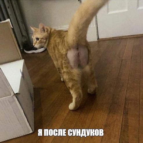 EQzedBEp0kJdapEJWREF2OITanqnJJb8d_zpmZD_RATGx362PP2TeAKgmPAKAPOoKFoSR-DT-XfzQjFKQZvzmf5p.jpg