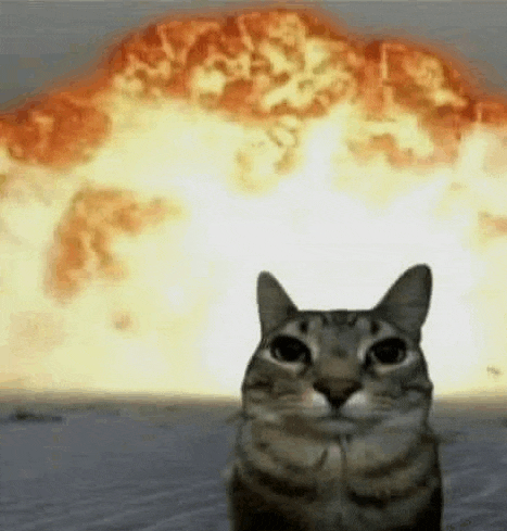 explosion-cats.gif