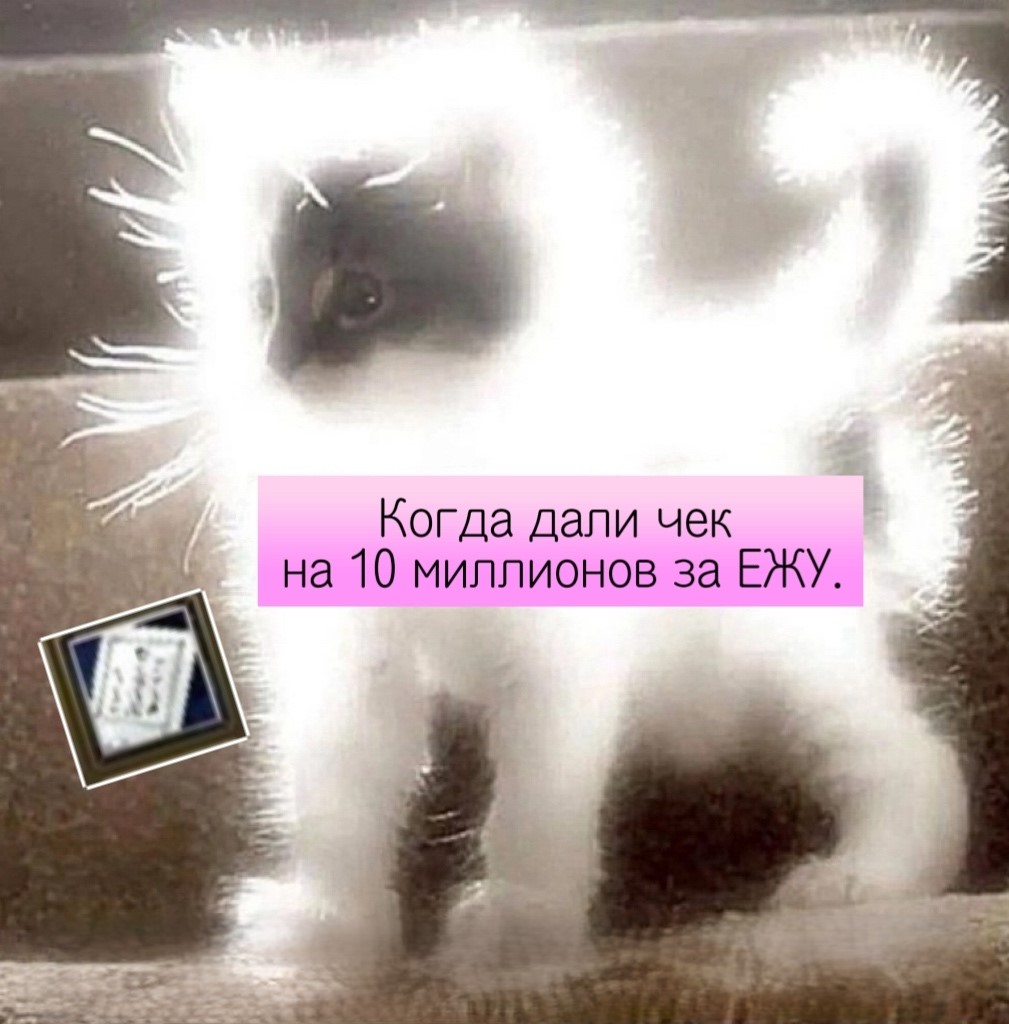 f10Nh0cW3sf6GAg2XWSZ5OAd--jxm-8E76jqAlhIPT_r5rek7d4tb38ehXrQXSQ5pWvmmoLu6mPt6B26Ct2iQuCQ.jpg