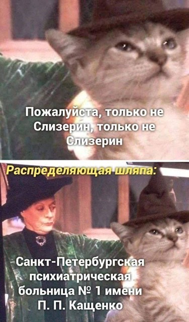 F6EF5742-EEE0-4276-A63E-BC6D41562B01.jpeg