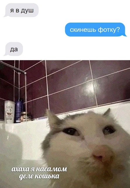 F9A4255B-4715-4185-90B7-59F079993039.jpeg