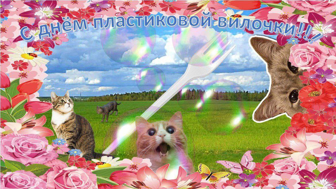 FA840DB6-8C4C-48C2-B9BD-3EFD1420BDB4.jpeg