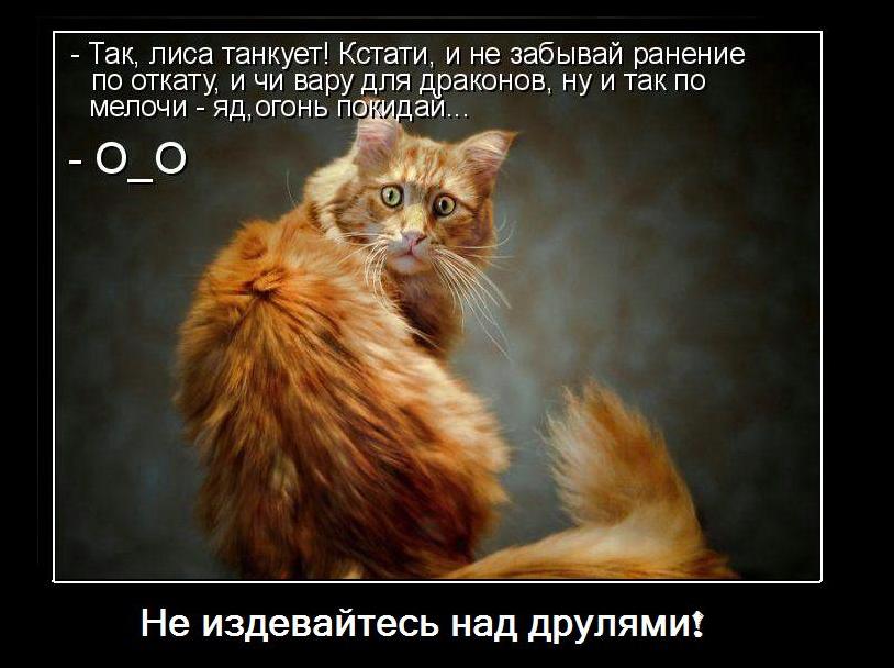 fb79b2165f74.jpg