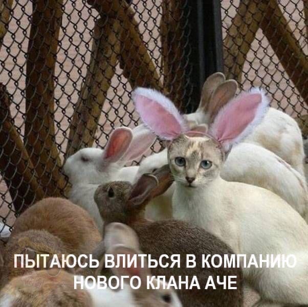fF_epcr7dqhHUXwv-w3m9mTYiBK4lAb5ZuUolcGevovMMn7RSxAE_tTjxSExIa-W8G42cY_TEqHUEE1aXrYsgVbq.jpg