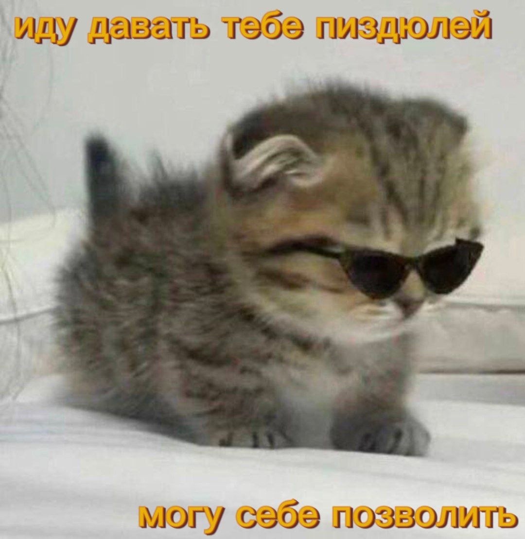 fij-6g92Ki8i5M0ZQewvzENal3dYqRAyAldiadZjrCXPxk3DTpgiHO-s_KsLzi36tzvHtiy4r3Xc3q4tIS5xrUnv.jpg