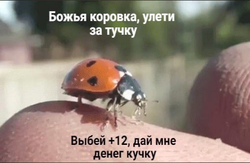 fnva4GUljnk.jpg