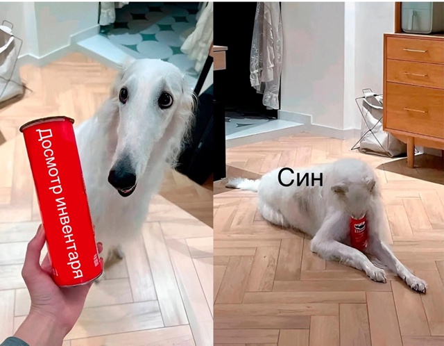 g3GSpTKyiH2I79Y0CnprO1Iua4FxNjmDLhlyShxdtuGg3FXs7oRe5hgCrjNjmEU7c8HXegT3FFn-ONjBGRHx2xka.jpg