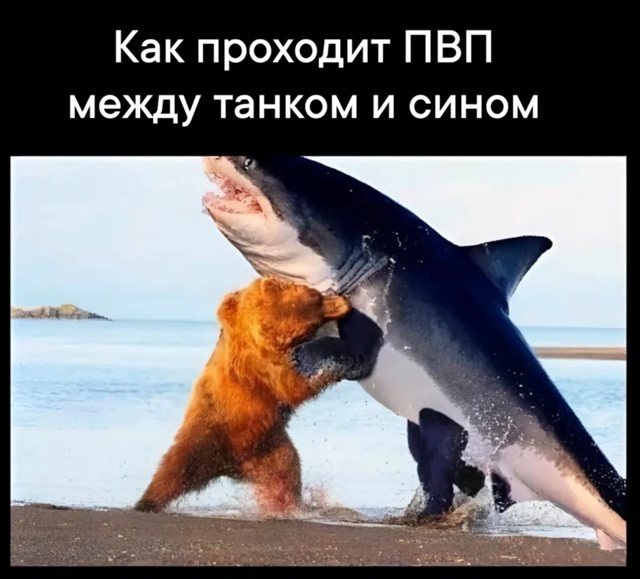 g7HW8-hNB9MIlvknRau_ryspz785esg5KCoA9qEzy0Vdvq6jh8NzSwdio94NN7G-Cii7PeUiLq3rlUZRVSGymk0R.jpg