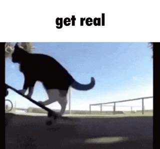 get-real-cat.gif