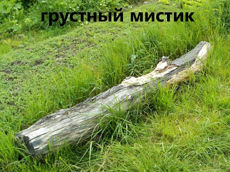 hAHeKlhnRlYYpzq44o3dYFipjVbrmli1NEPUcO9RztkZlH9Te7qpbOFWKXDyWax4bfWEJgjFZU5mRMsalZYTTd2k.jpg