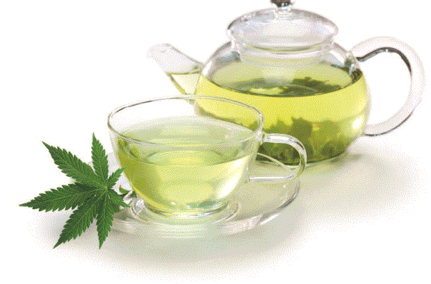 hemp_tea-3713143175.gif