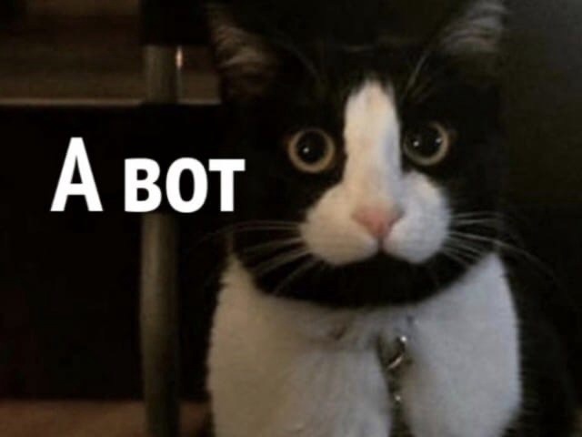 hp0SgrJkya0gbWvabXcZ8_u7inYi7-JEpNeR-gJ7iD-phbbxn3h7MjnYclgQI0rMtWJDeAe7JOr9tBnbBdci4Nz- (1).jpg