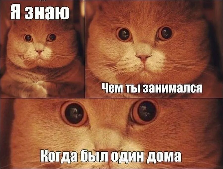 i (2).jpeg