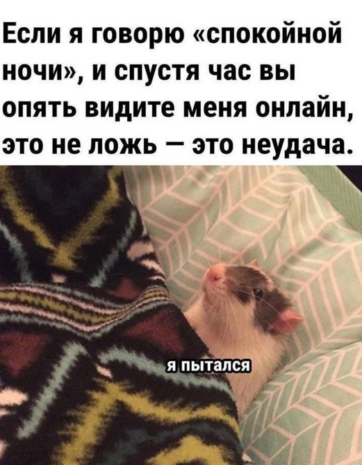 I7txALZ7Y6RmoCvWx1jzoLAd-rTyWfK1wvuIBvFKIXa6vuqbxSN7Xir00PMNcKw0vq-2XR6muw75yHbti3hK60Gj (1).jpg