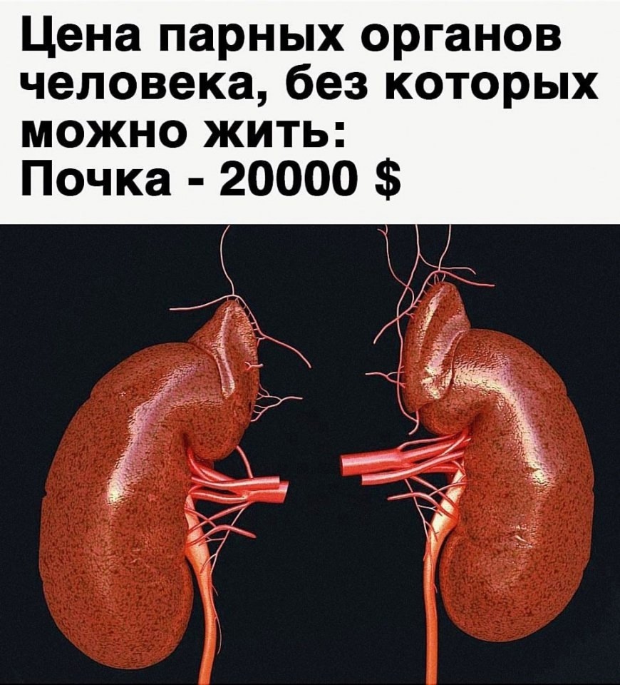 I8TjtU5hbvYlaZS63x6hdD92kES5Dk0-6O4O77kj-PHHunejFjpc0Zt2yDOTfSkk8tHYGe2KVBc7JSP9fQ95eB8K.jpg