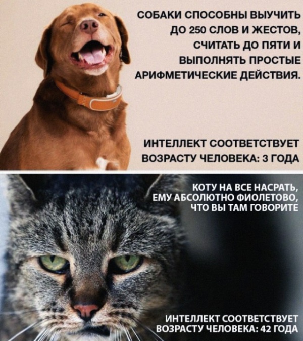 -icitBA7NWs.jpg