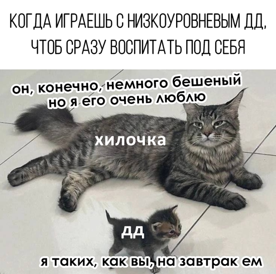IGfVPu5b4Gv14kioYoCzCt1Hq_5voVdYHjTYDITW-THt7dr2_6jiVRBg3xyHrm9Ko15zcmpYBu5RRw1Q1FAxhpOK.jpg