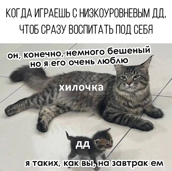 IGfVPu5b4Gv14kioYoCzCt1Hq_5voVdYHjTYDITW-THt7dr2_6jiVRBg3xyHrm9Ko15zcmpYBu5RRw1Q1FAxhpOK.jpg
