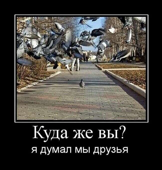 igor2-09021914065206_11.jpg