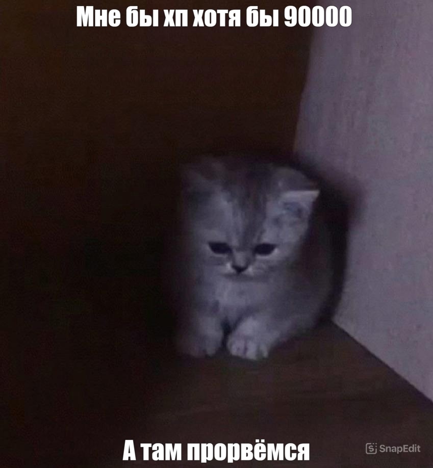 igUO9vnlL-mRI0ZbfEsZibZjAN1ESVeIMTU_yNkpOyh_uHkp38B89wlhY7AOwiJWlUjXzTN7LQdZtsFKNraH4dn4.jpg