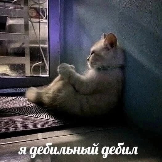IinPlCUv8qA.jpg