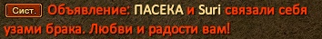 image-11.png