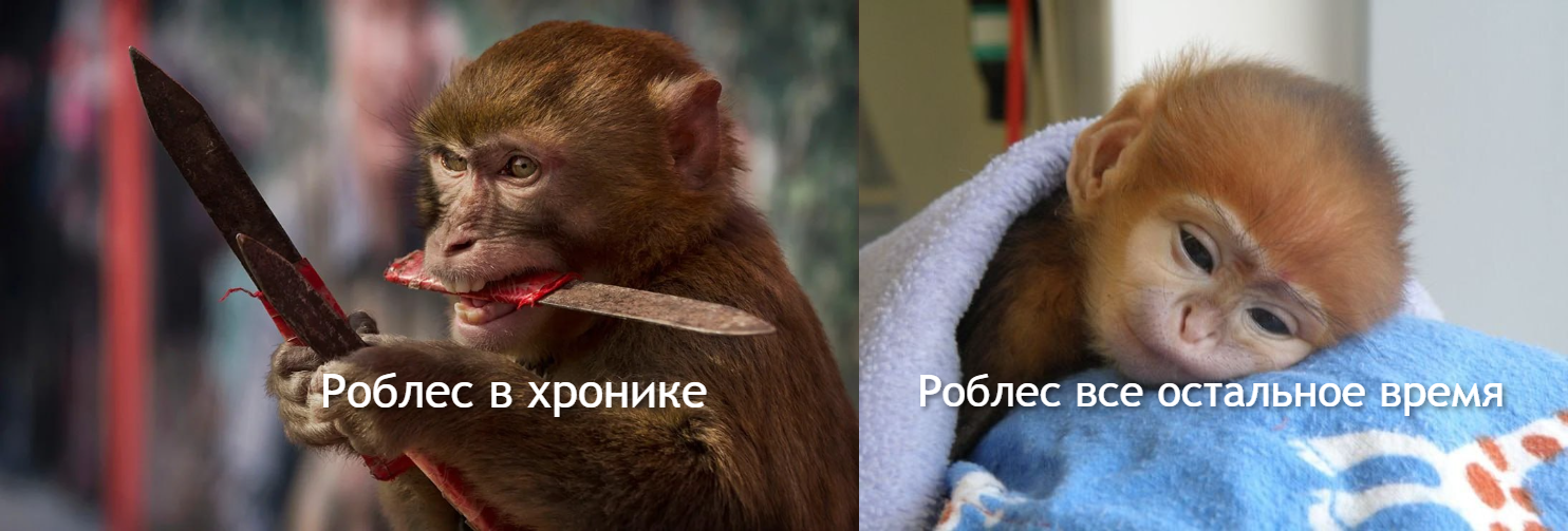image (5) (2).png