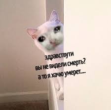 images (1).jpeg