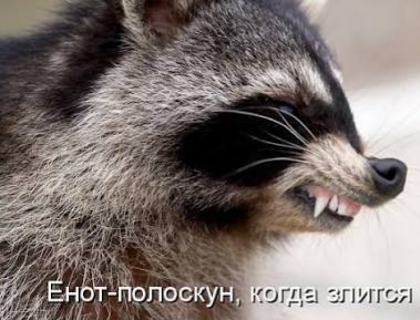 images (14).jpeg