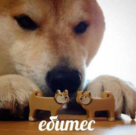 images (17).jpeg
