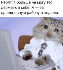 images (4).jpeg