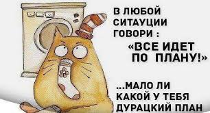 images (4).jpg