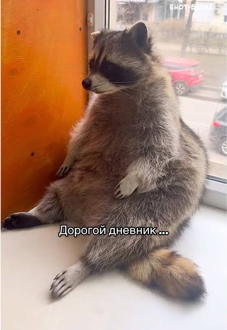 images (40).jpeg