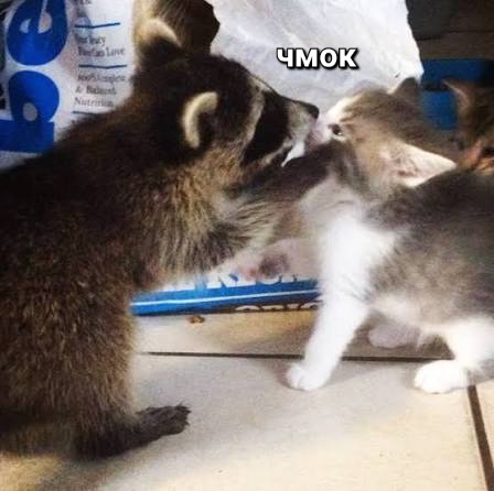 images (45).jpeg