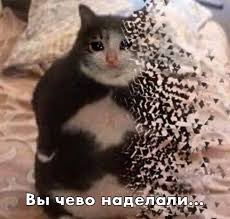 images (5).jpeg