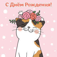 images (6).jpeg