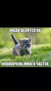images (6).jpeg