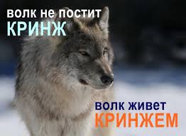 images.jpg