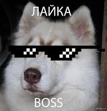 images.jpg
