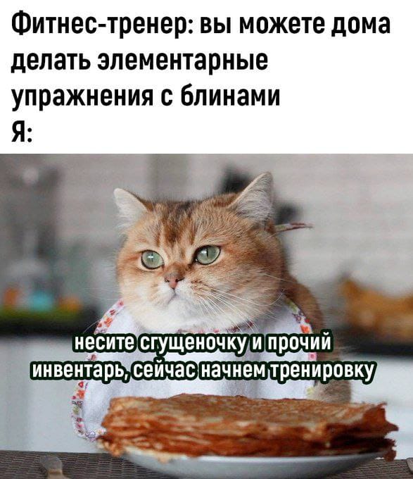 IMG-20240830-WA0009.jpg