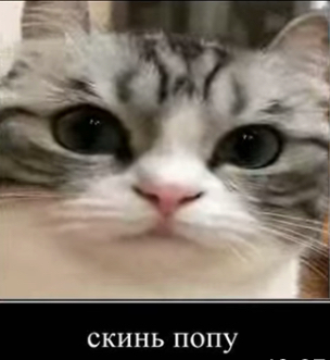 IMG_0014.jpeg