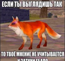 IMG_0065.jpeg